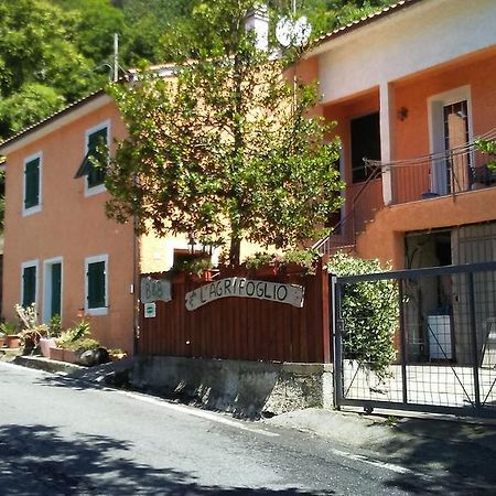 Casa Vacanze L'Agrifoglio Bed & Breakfast Magliolo Exterior foto
